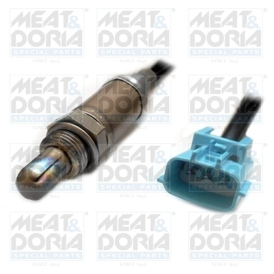 Oxygen Sensor